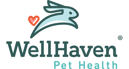 WellHaven Pet Health Denver